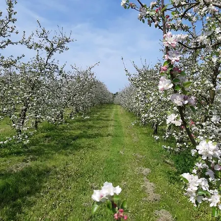 Les Petites Landes Villa *