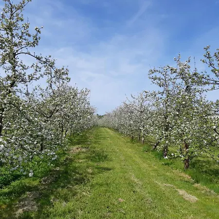 Les Petites Landes Villa *